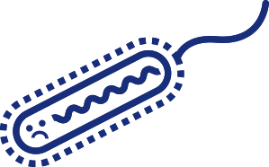 ピロリ菌検査・除菌治療